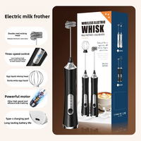 Mousseur à lait électrique en acier inoxydable, batteur portatif rechargeable, 2 têtes de mélange, 3 vitesses, écologique, pour café, mousse de matcha