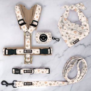 <span class=keywords><strong>Pet</strong></span> Boutique OEM/ODM regolabile gilet cane imbracatura senza tirare Perro guinzaglio e collare Set petto altri Set di imbracature per cani personalizzati - Product Image 3
