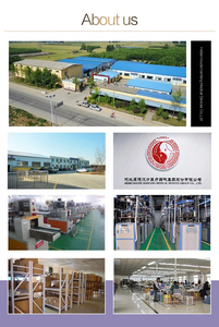 Life Vegan Omega 3 aus Algen Natural Health Supplement zur Unterstützung von Körper augen und Gehirn Topical Patch - Product Image 6