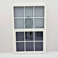 Fenêtre à guillotine simple en vinyle noir Fenêtres coulissantes verticales en vinyle avec grilles et écran