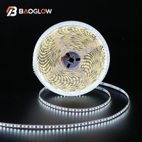 Bande LED 2835 CE RoHS en gros, 12V 24V, 120 LED, IP20, éclairage intérieur/extérieur pour résidence et aménagement paysager, lampe en cuivre