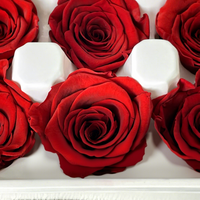 Kepala Bunga Mawar Kering Abadi 4-6cm Bunga Alami untuk Valentine DIY Ramah Lingkungan Tahan Lama 3-5 Tahun Bunga Awet