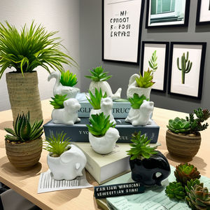 Mini Vert En Céramique En <span class=keywords><strong>Pot</strong></span> Artificielle Succulente Herbe PE Faux Matériel pour Ornements De Jardin Intérieur Mariages Argile <span class=keywords><strong>Pot</strong></span> De Fleur - Product Image 1