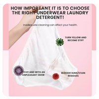 MULAN Marque distributeur Liquide de nettoyage doux et écologique pour sous-vêtements Parfum fruité Enlever les odeurs Taches 500ml Détergent à lessive