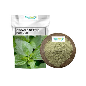FocusHerb Promotion : Poudre d'extrait de feuille d'ortie biologique NOP & UE de qualité alimentaire, 80 Mesh, extraite par solvant - Product Image 1