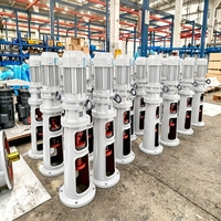 Agitateur vertical à pales en acier inoxydable pour boues d'or, réservoir mélangeur pour le lixiviation au cyanure CIP CIL, équipement minier à petite échelle