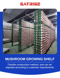 Welding Free Mushroom Growing Shelf Food Grade Polyethylene <b>Cultivation</b> Rack Industrial Farming System - Product Image 5