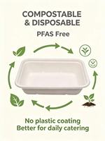 OEM Wegwerp Bagasse Voedselcontainers Biologisch afbreekbaar & composteerbaar Afhaallocaties Lunchboxen Magnetronbestendig PFAS-vrij