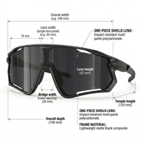 Lunettes de soleil pour hommes, lunettes de sport, lunettes de soleil décontractées, pour la conduite, les activités de plein air et le cyclisme
