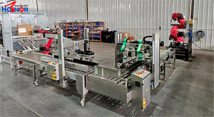 Empaquetador de cajas robóticas de carga superior y sistema para máquinas de sellado de cajas de cartón incluidas para recoger y colocar <span class=keywords><strong>Robot</strong></span> paletizador - Product Image 6