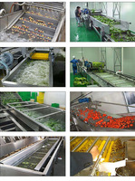 Lavage de légumes Réservoir de nettoyage en profondeur Machine à laver en profondeur de fruits et légumes racines Machine de nettoyage à bulles d'air
