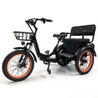 Tricycle électrique à assistance électrique de 20 pouces 750W avec différentiel, pour passagers et marchandises, pour adultes, trajets urbains et courses.