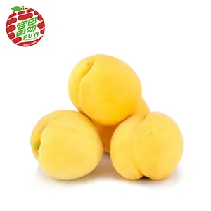 CRISP FRESH YANLING Kuning PEACH Bentuk CHINA