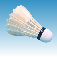 Volants de badminton JUNXIN en stock d'usine, écologiques, légers, en plumes d'oie, tête en liège, pour l'entraînement et les tournois