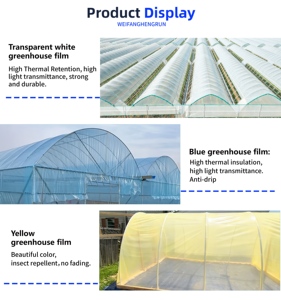 Rõ ràng màu xanh nhà kính polytunnel bao gồm phim tấm truyền qua cao màu xanh trong suốt nhà kính phim CuộN - Product Image 3