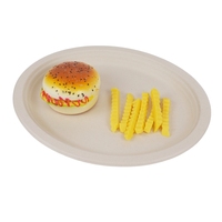 Assiette ovale en fibres de canne à sucre écologique Assiette à dîner en bagasse compostable Assiette ovale en bagasse de canne à sucre