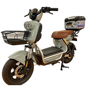 Bicicleta Eléctrica de Una Pieza con Asiento Delantero y Trasero, con Frenos de Disco, para Adultos, Precio Directo de Fábrica - Product Image 1