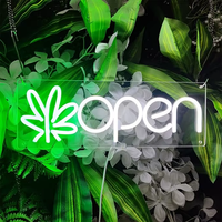 Enseigne néon ouverte alimentée par USB, murale, en acrylique, éclairée par LED, à intensité variable, blanc chaud, pour hôtel et boutique de tabac