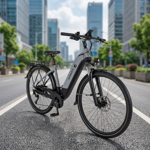 Nueva Bicicleta Eléctrica D-awes S-pire 2.0 de Grado Industrial para Bricolaje, Precio de Fábrica, 3 Años de Garantía, Envío Gratuito a Todo el Mundo - Product Image 2