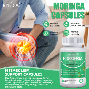 Certificaat Fabrikant Nsf Halal Coa Gmp Groothandel Moringa Extract Supplementen Immuunondersteuning Organische Moringa Capsule - Product Image 4
