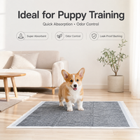 Tapis pour chiots en charbon de bambou, haute absorption, anti-fuites, pour l'apprentissage à la propreté à la maison, OEM ODM Marque Privée