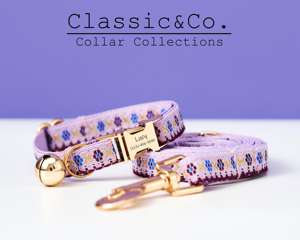 Juego de correa de collar de gato personalizado Tribal de correas, hebilla de Metal con nombre de gatito grabado personalizado, campana de oro gratis, regalo de mascota femenina - Product Image 2