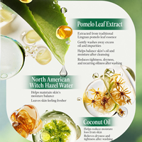 Gel Douche Purifiant et Hydratant OEM aux Feuilles de Pomelo Vert, Contrôle du Sébum, Soin Corporel, Marque Privée