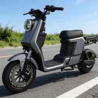 Vélo électrique urbain longue distance à grande vitesse avec moteur arrière, fonctionnalités électroniques intelligentes, transmission à 3 vitesses, cadre en acier au carbone 48V