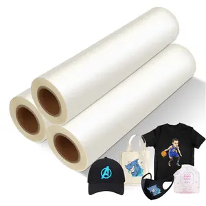 T-shirt FILM 2023 DTF film vinil cetak transfer panas transparan kosong atau kertas 60 dtf film stiker membran i3200