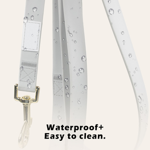 Guinzaglio per cani a mani libere personalizzato con custodia a tracolla e guinzaglio per allenamento in vita accessori per camminare e camminare - Product Image 3