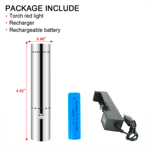 SGROW senter terapi kecantikan tubuh led, mesin wajah panel wajah perangkat perawatan kulit fototerapi bohlam senter terapi lampu merah - Product Image 3