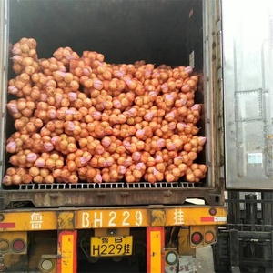 Verduras Frescas chinas, precio barato, cebollas amarillas frescas, Exportación al mercado australiano - Product Image 6