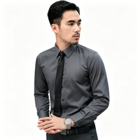 Chemise décontractée haut de gamme pour homme en popeline d'automne, sans repassage, respirante, écologique, à manches longues, col rabattu, avec logo brodé