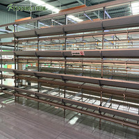 Tilta — Cage de poulet avec couche de batterie en H, Design moderne, système de ferme de volaille, système de Production d'œufs, maison, prêt à livraison