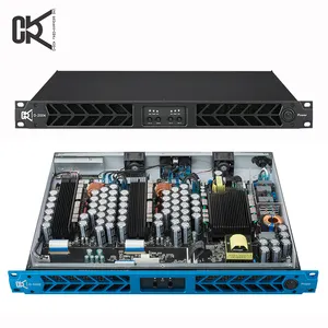 D1002 CVR Audio professionale classe D 1000W 2 canali amplificatore di potenza