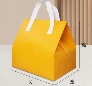 Non-Woven Colorful Takeaway Insulation Bag Insulated Cooler Bag Wine Cooler Bag Insulated Lunch Cooler Bag Portable Zipper - Product Image 3