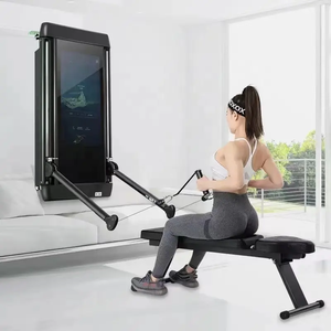 Equipo de Fitness con Pantalla Táctil y Brazo de Acero para Montaje en Pared, Entrenador Inteligente Integral en Venta Whr-033 - Product Image 3