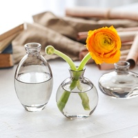 Vente chaude Couleur Nordique Table Vases Fleur Cristal Diffuseur Bouteille Vases En Verre Décoratifs pour La Décoration Intérieure Vases Décoration Maison