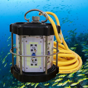 Alpon de pesca submarina ชุดไฟตกปลาใต้น้ำแบบ LED อุปกรณ์สำหรับ Rampino Lampos de Pesca ออกแบบได้ตามต้องการ - Product Image 5