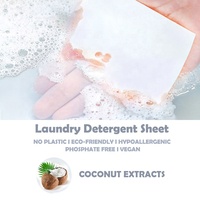 Bande de détergent à lessive à gain de nettoyage antifongique OEM de meilleure qualité avec parfum d'eucalyptus