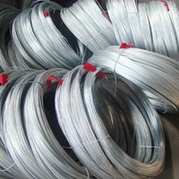 Çin pazarı 2 mm çap galvanizli çelik tel ve galvanizli çelik tel halat tedarik ediyor