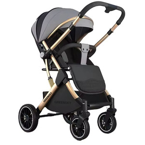 Poussette de voyage <span class=keywords><strong>2</strong></span> en <span class=keywords><strong>1</strong></span> Golden Frame, réversible, portable, avec siège <span class=keywords><strong>auto</strong></span> - Product Image 1