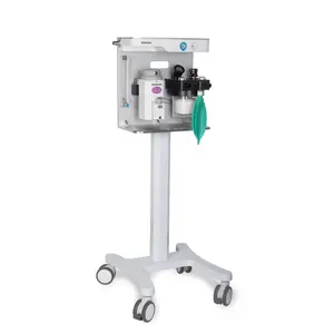 MRI compatible vet anesthesia system for cat