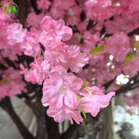 Nouveau Best-Seller Arbre de Cerisier Japonais Sakura Personnalisé Rose Arbre Fleuri Artificiel Décoration Mariage Maison