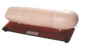 BIX-F9C Is Realistisch Van Vorm, Simuleert Linker Bovenarm, Subcutane Implanteerbare Anticonceptiearm - Product Image 2