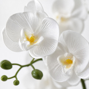 Piante e Fiori Artificiali all'Ingrosso, Piante Decorative Artificiali per Casa e Matrimonio, Bonsai e Orchidee Artificiali - Product Image 4