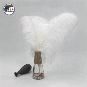 Plumes d'autruche colorées pour la décoration de vase à domicile en DIY - Product Image 6