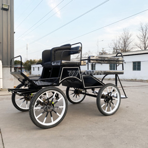 Carruaje de Caballos para Turismo Europeo, Club Ecuestre, Caballo Negro para Entrenamiento de Maratón - Product Image 5