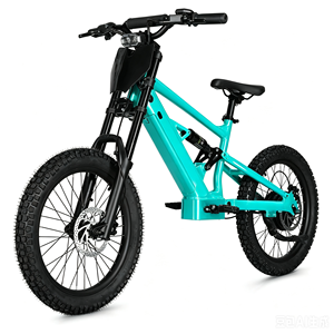 Bicicleta de Equilibrio para Niños de 20 Pulgadas, 48V, 6.0AH, 1000W, Diseño sin Escobillas, Sensor Inteligente, Litio, Aluminio, para Niños - Product Image 3