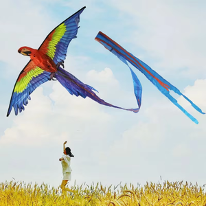 Cerfs-volants personnalisés en forme de delta avec grande queue rotative pour adultes, divertissement en plein air sur la plage - Product Image 1